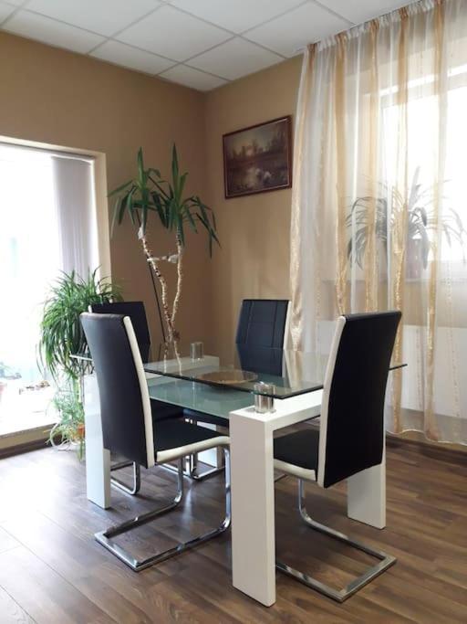 Apartment Aelit Kitzingen